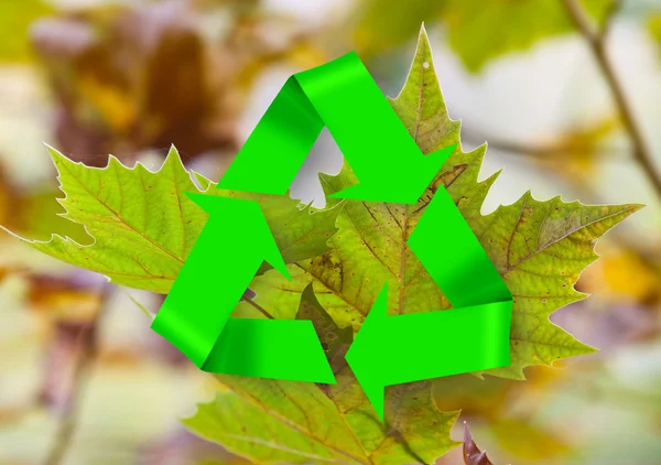 Hojas en otoño con símbolo de reciclaje — Foto de Stock