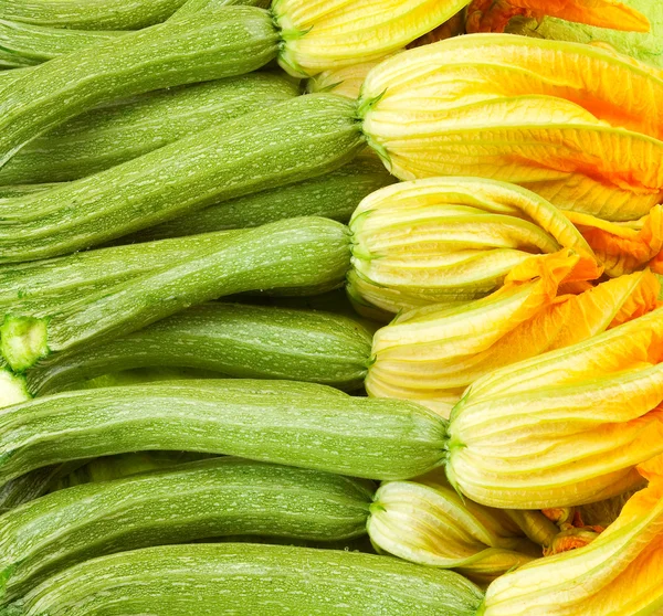 Zucchine o zucchine con fiori — Foto Stock