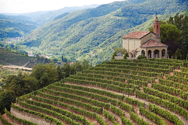 Cossano belbo (Piemontu, Włochy): krajobraz langhe — Zdjęcie stockowe