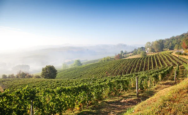 Astigiano, piemont, italien: landschaft — Stockfoto