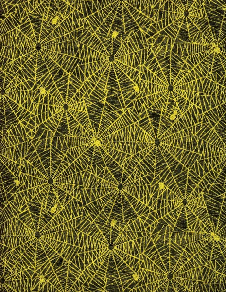 Örümcekler ve ağları — Stok fotoğraf