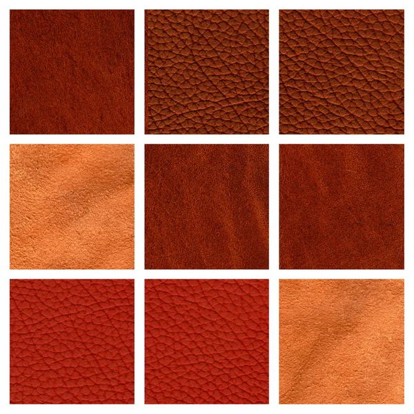 Collage di nove texture in pelle . — Foto Stock