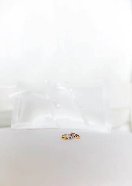 Two rings on white — Stock Photo, Image