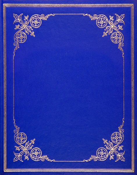 Capa de couro azul — Fotografia de Stock