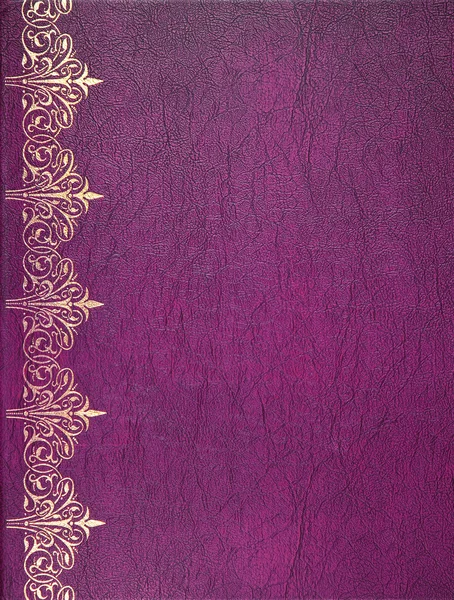 Funda de cuero violeta y dorado — Foto de Stock