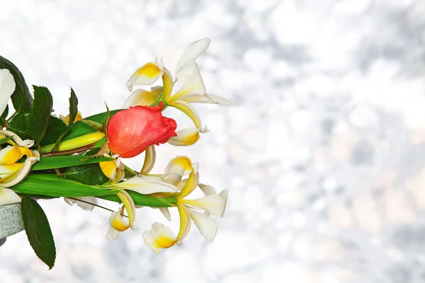 Bouquet on background — Stock Photo, Image