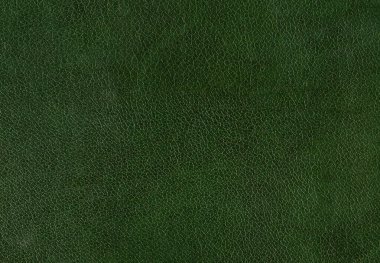 Boş bir arkaplan. Yeşil deri deseni