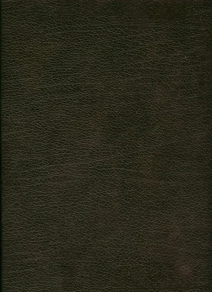 空白背景 棕色皮革的样式 — 图库照片