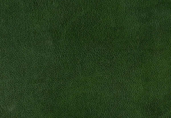 Blank Background Pattern Green Leather — Stockfoto
