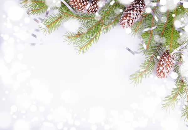 Karácsonyi üdvözlőlap. Fir Branch tölcsérek fehér fényes nyaralás háttér — Stock Fotó