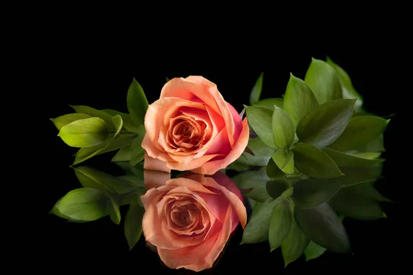 Belle composition de fleurs avec rose rose et feuilles vertes sur fond noir avec réflexion. — Photo