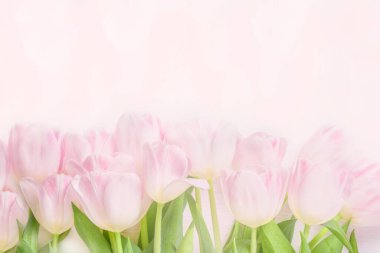 Anneler Günün kutlu olsun. Pembe Pastel Arkaplanda Pembe Lale Çiçekleri