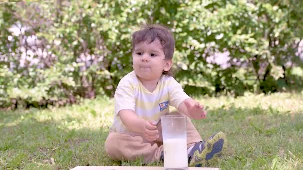 快乐的小男孩在公园里玩耍后 在户外喝牛奶 — 图库视频影像