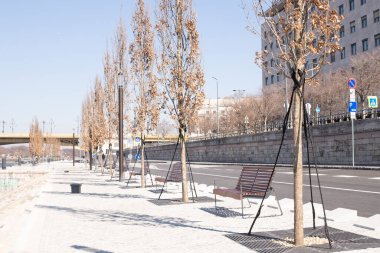 Boş şehir. Ağaçları ve bankları devirin. Yol ve sokak işaretleri