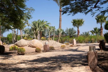 Landscape design of a patio in Egypt. Rest and vacation. Alley with plants: cacti and palm trees