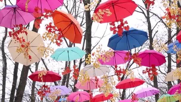 Kolorowe Parasole Deszczowe Kołyszą Się Niebie Wiatru Wraz Liśćmi Drzew — Wideo stockowe