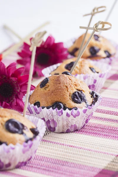 Muffin — Foto Stock