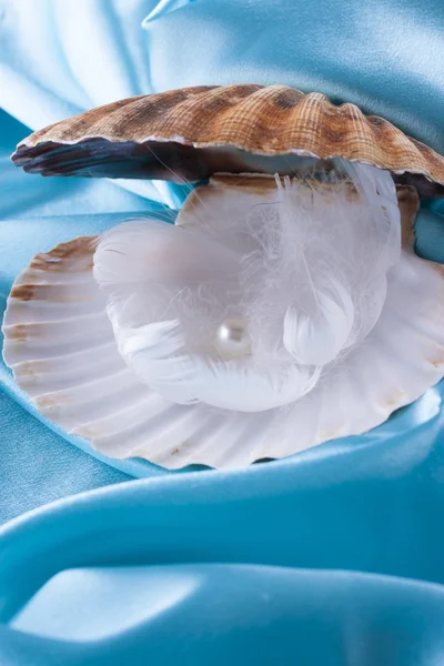 Pearl — Stock Photo, Image