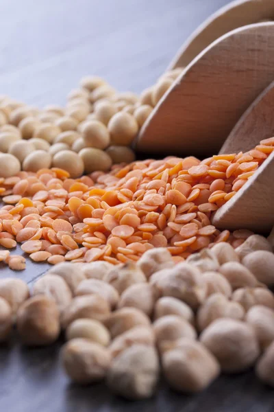 Beans and Seeds — Stock Photo, Image
