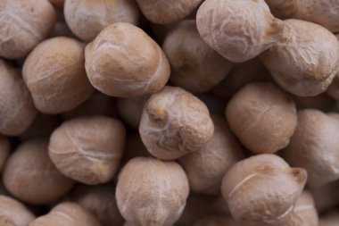 fasulye Vee tohumları