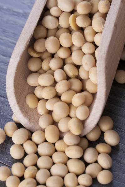 Beans and Seeds — Stock Photo, Image