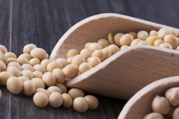 Beans and Seeds — Stock Photo, Image