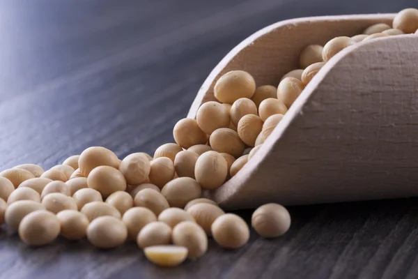 Beans and Seeds — Stock Photo, Image