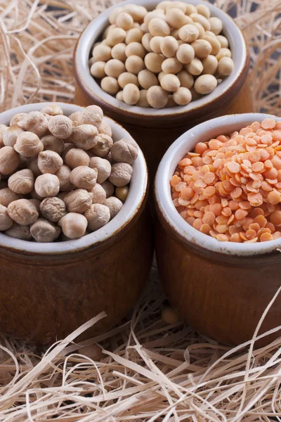 Beans aand Seeds — Stock Photo, Image