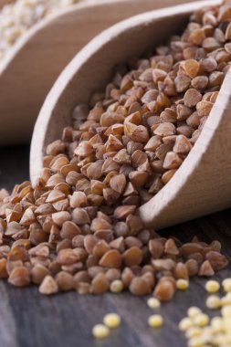 kabuğu çıkarılmış tane