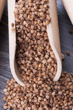 kabuğu çıkarılmış tane