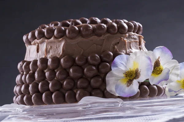 Bolo de chocolate — Fotografia de Stock