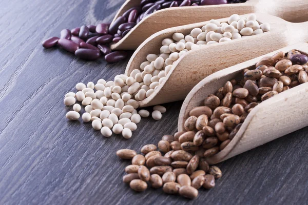 Beans — Stock Photo, Image