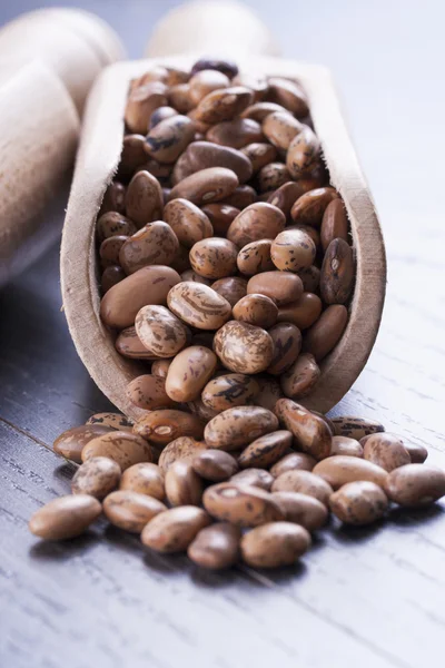 Beans — Stock Photo, Image