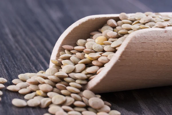 Healthy Seeds — Stock Photo, Image