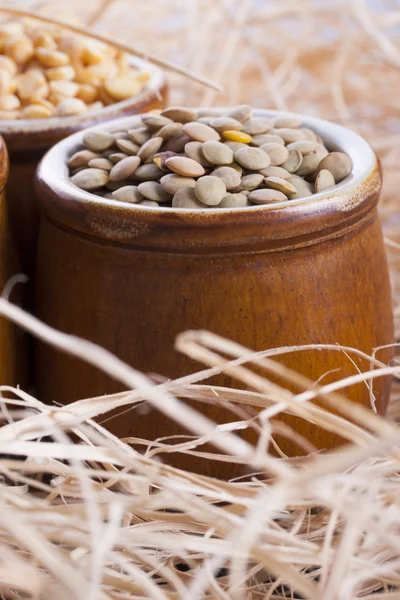 Healthy Seeds — Stock Photo, Image