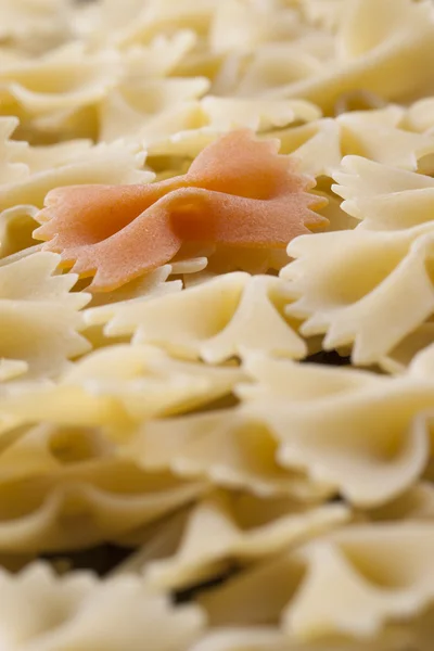 Pastas — Foto de Stock