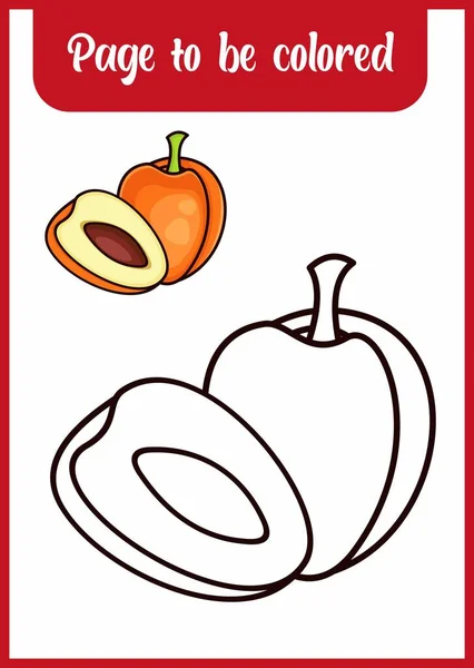 coloring book for kids. apricot vector