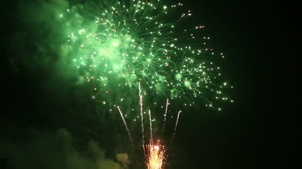 Feuerwerk mit Soundstock-Video: — Stockvideo