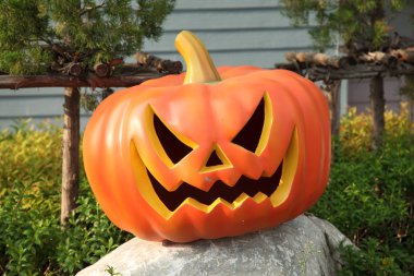 Halloween kabaklar