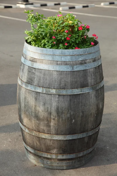 Oak barrels decorate flower