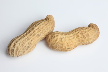 beyaz arkaplanda fıstıklar