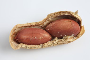 beyaz arkaplanda fıstıklar