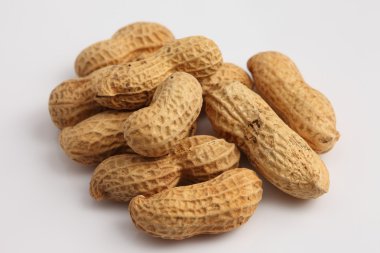 beyaz arkaplanda fıstıklar