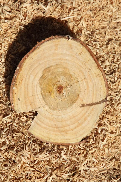 Snijden hout — Stockfoto