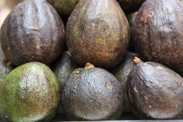 Avocado — Stock Photo, Image