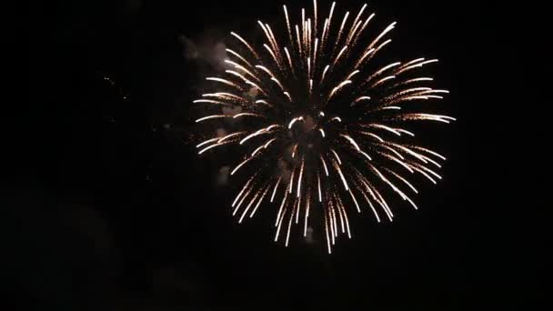 Affichage de feux d'artifice avec son 