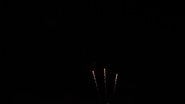 Affichage de feux d'artifice avec son Vidéo stock :