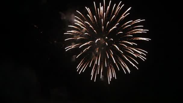 Spettacolo di fuochi d'artificio con audio : — Video Stock