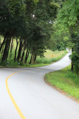 Park yolu