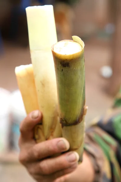 Hands with sugar cane — Stock Photo, Image